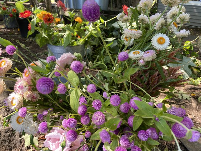 Sustainable Flower Arranging for Every Season - Westmoreland Sanctuary Upcoming Events