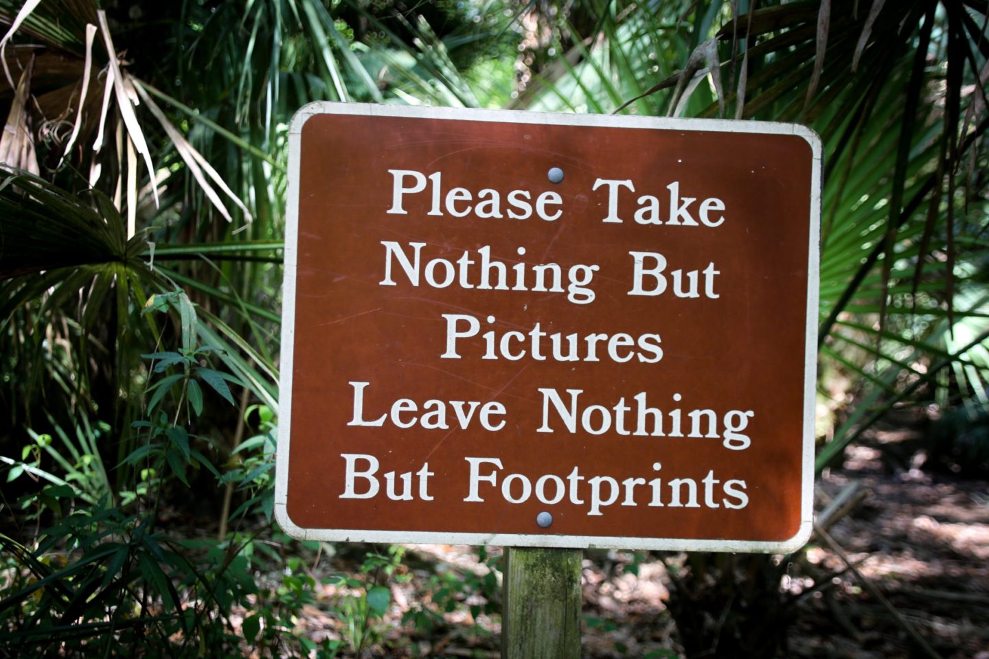 what-do-those-leave-no-trace-signs-mean-westmoreland-sanctuary