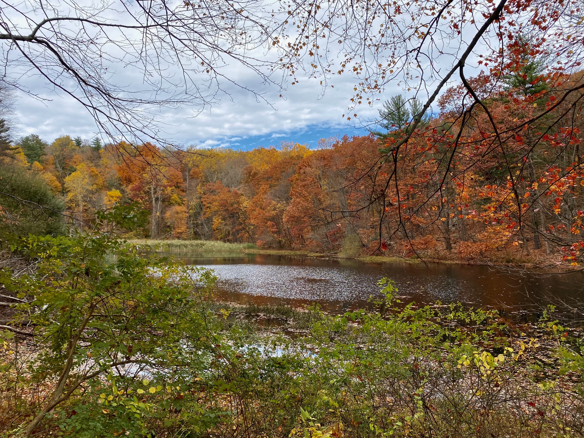 hudson valley