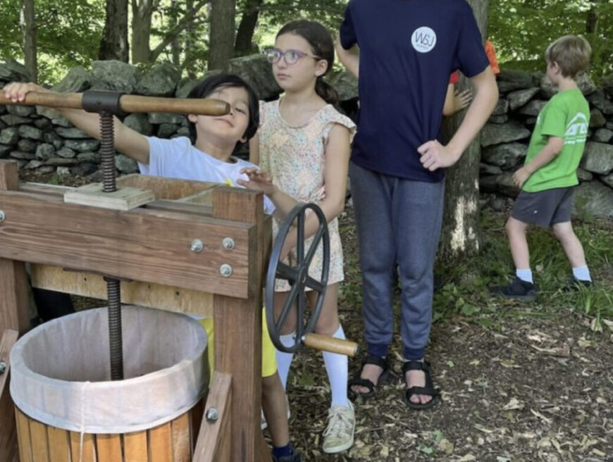 Westmoreland Sanctuary