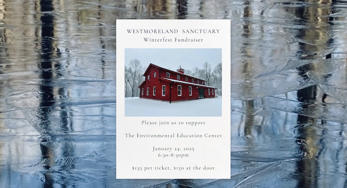 Westmoreland Sanctuary Winterfest Fundraiser