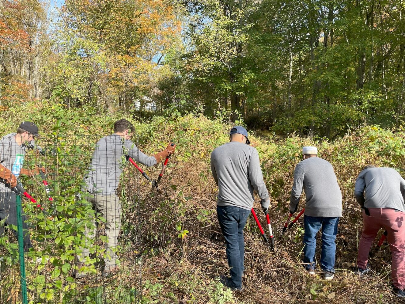 Westmoreland Sanctuary