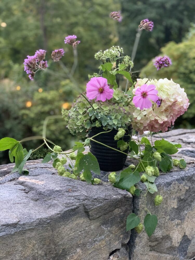 Westmoreland Sanctuary