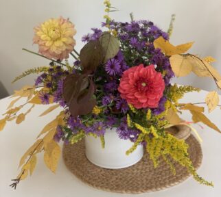 Small Plants and Arrangements