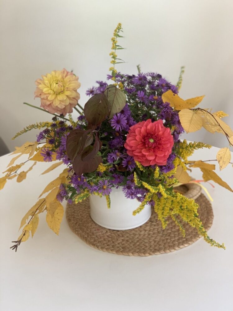 Small Plants and Arrangements