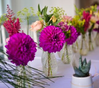 Event Decorating & Forced Bulbs Flower Arranging